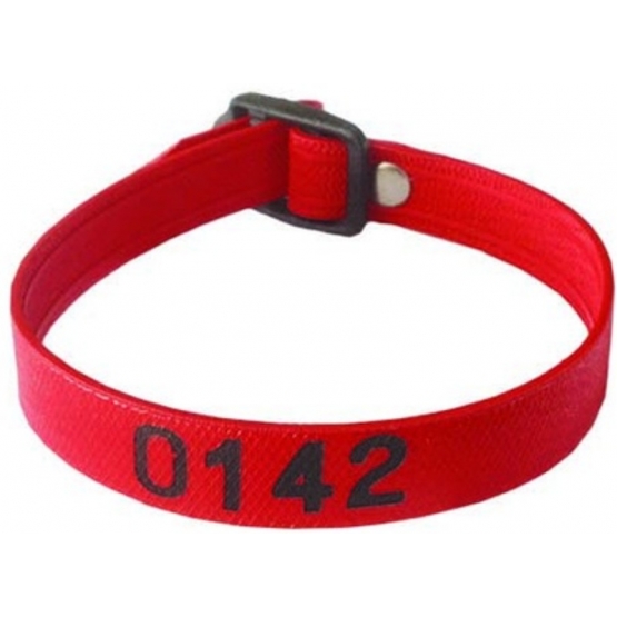 Bracelet piscine numerote depareille