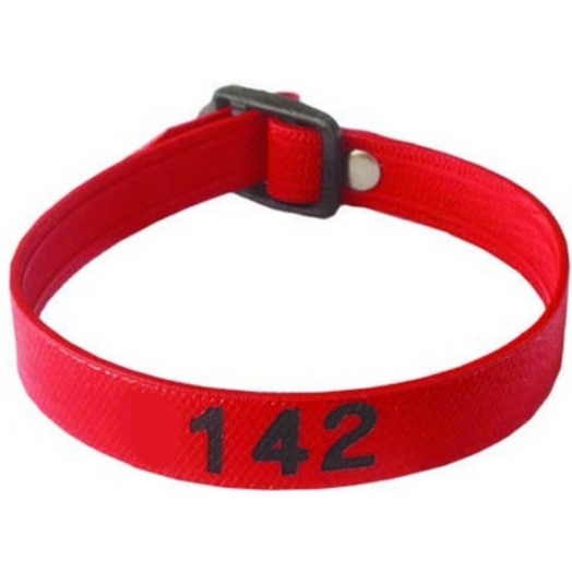 Bracelet piscine numerote depareille